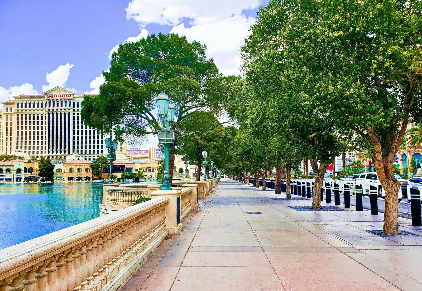 a street lined with trees next to a body of water